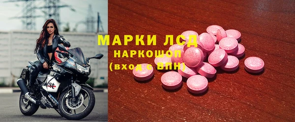 сатива Абинск