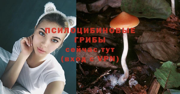 a pvp Абдулино