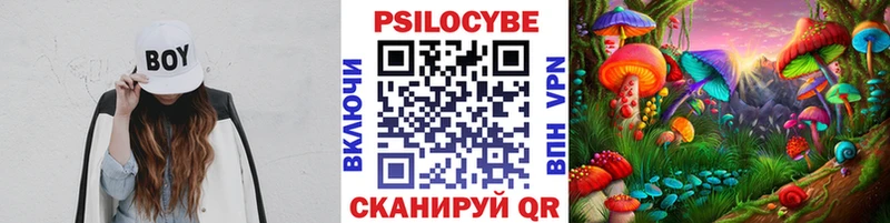 Псилоцибиновые грибы Psilocybe даркнет сайт маркетплейс формула Химки